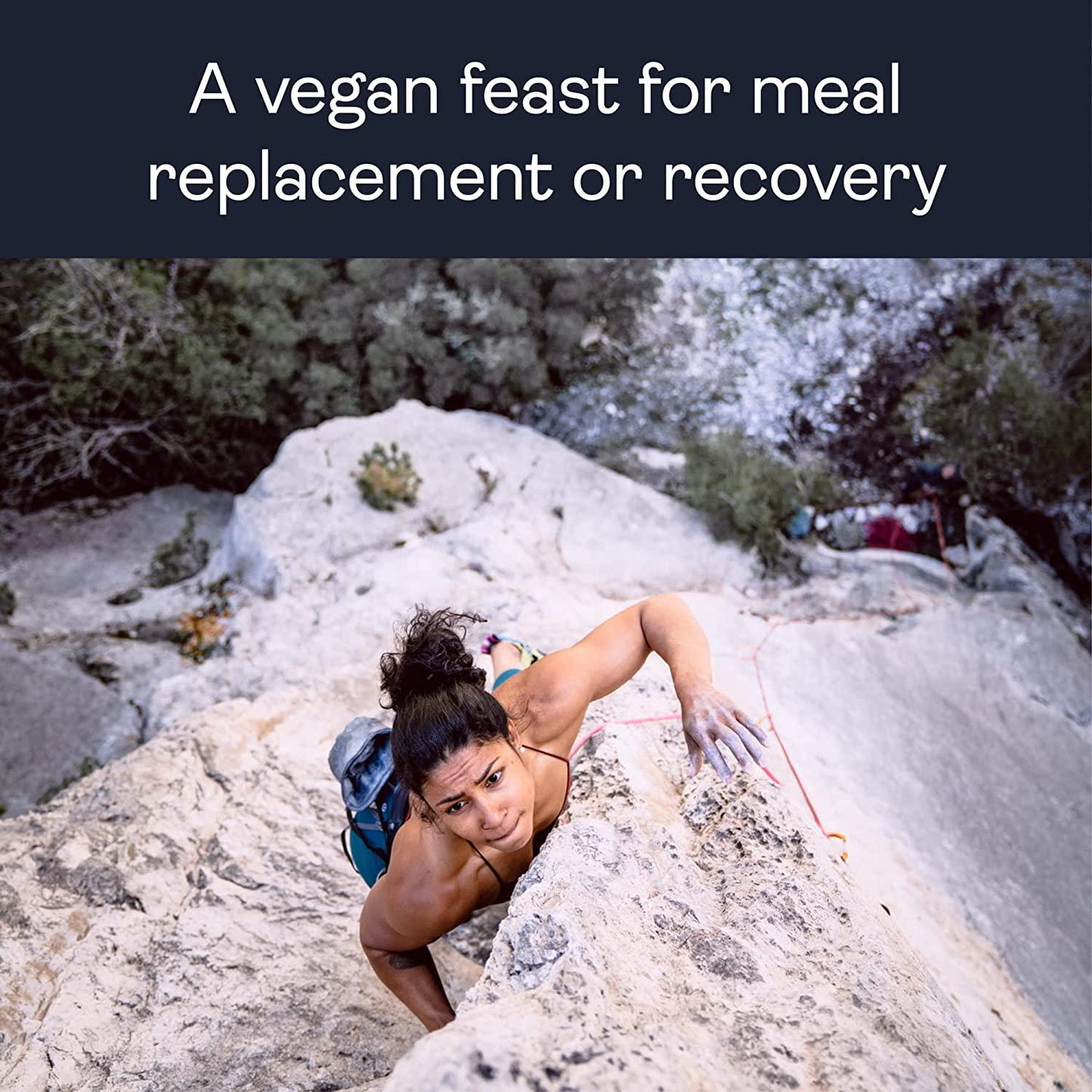 Gnarly Nutrition, Meal Replacement Vegan Protein Blend from Pea, Chia and Cranberry for Muscle Development, Vanilla, 16 Servings