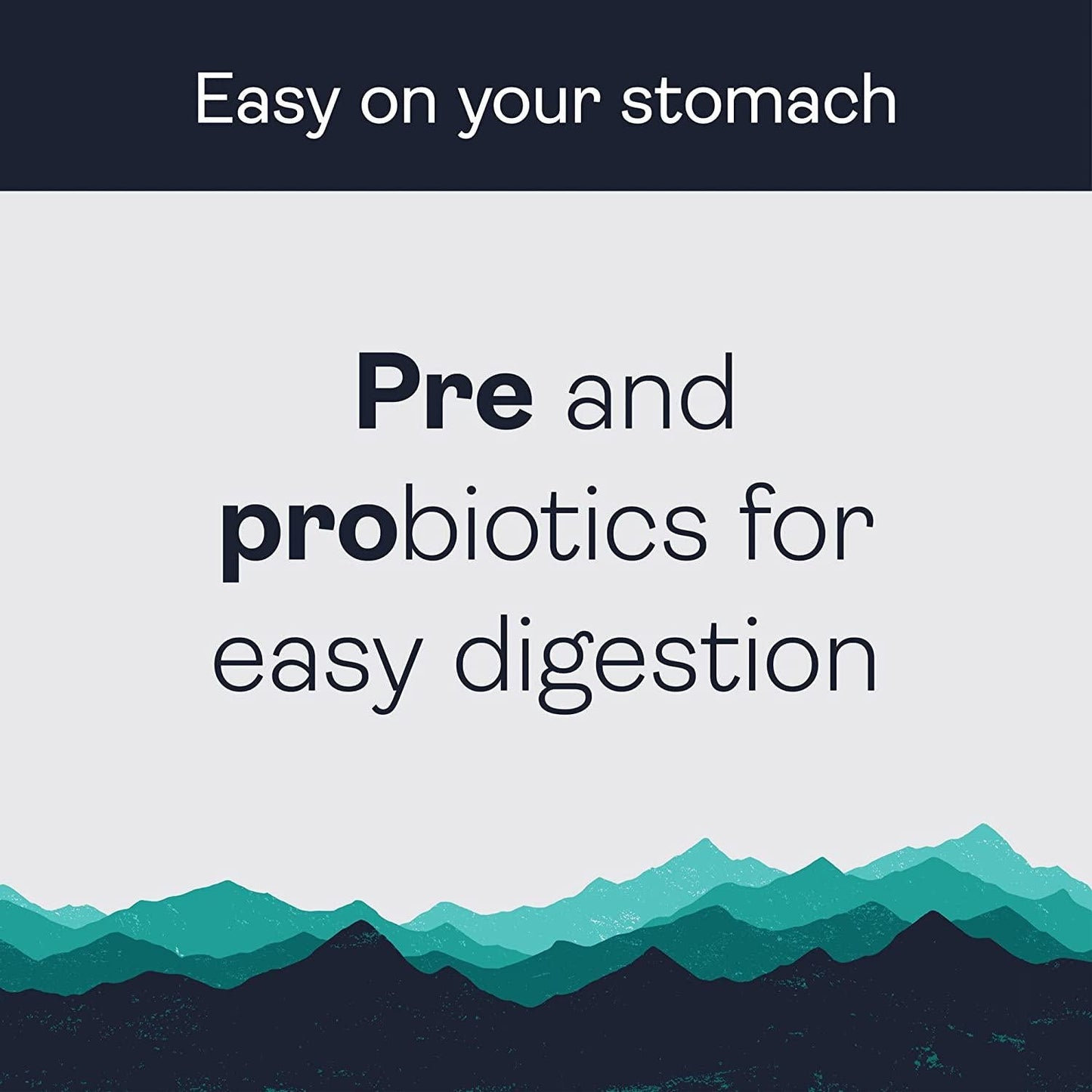 Gnarly Nutrition, Meal Replacement Vegan Protein Blend from Pea, Chia and Cranberry for Muscle Development, Vanilla, 16 Servings