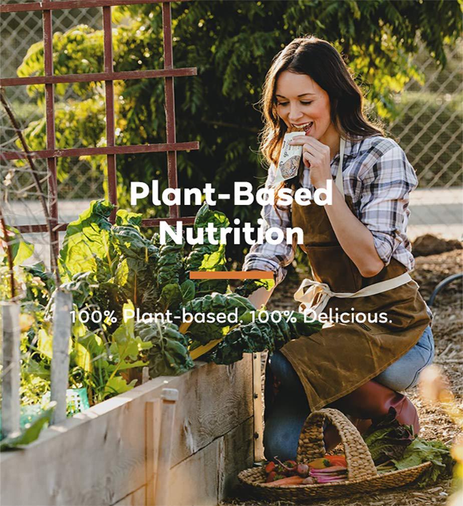 GoMacro MacroBar Organic Vegan Snack Bars Cherries + Berries 2 Ounce Bars (Pack of 12)