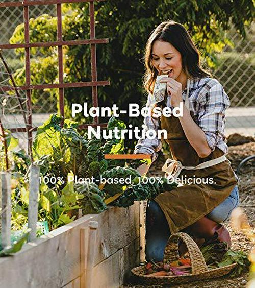 GoMacro MacroBar Organic Vegan Protein Bars, Peanut Butter, 2.3 Ounce Bars (Pack of 12)