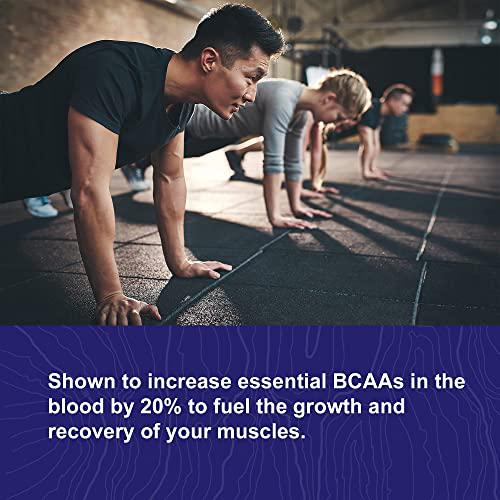 Go Condition Protein Powder Plus | Whey Protein Powder with 20g of Protein | Low Carb Protein Powder | Sugar Free Protein Powder | Easy to Digest Protein Powder | Cookies and Cream Flavor | 24 Servings