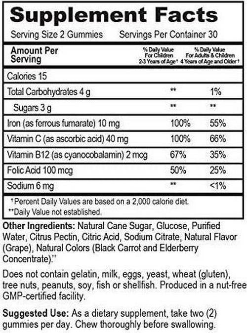 Go Healthy Natural Kids Iron Gummies - Vitamin C, B12, Folic Acid, Vegan, Kosher (U), Halal (60ct) 30