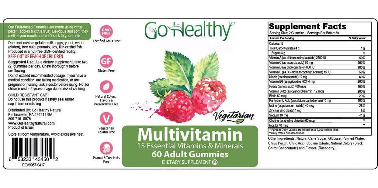 Go Healthy Natural Multivitamin Gummies for Women and Men, Vegetarian, Halal, OU Kosher (60 ct) 30 Servings Immune Support Vitamin C, D3 + Zinc