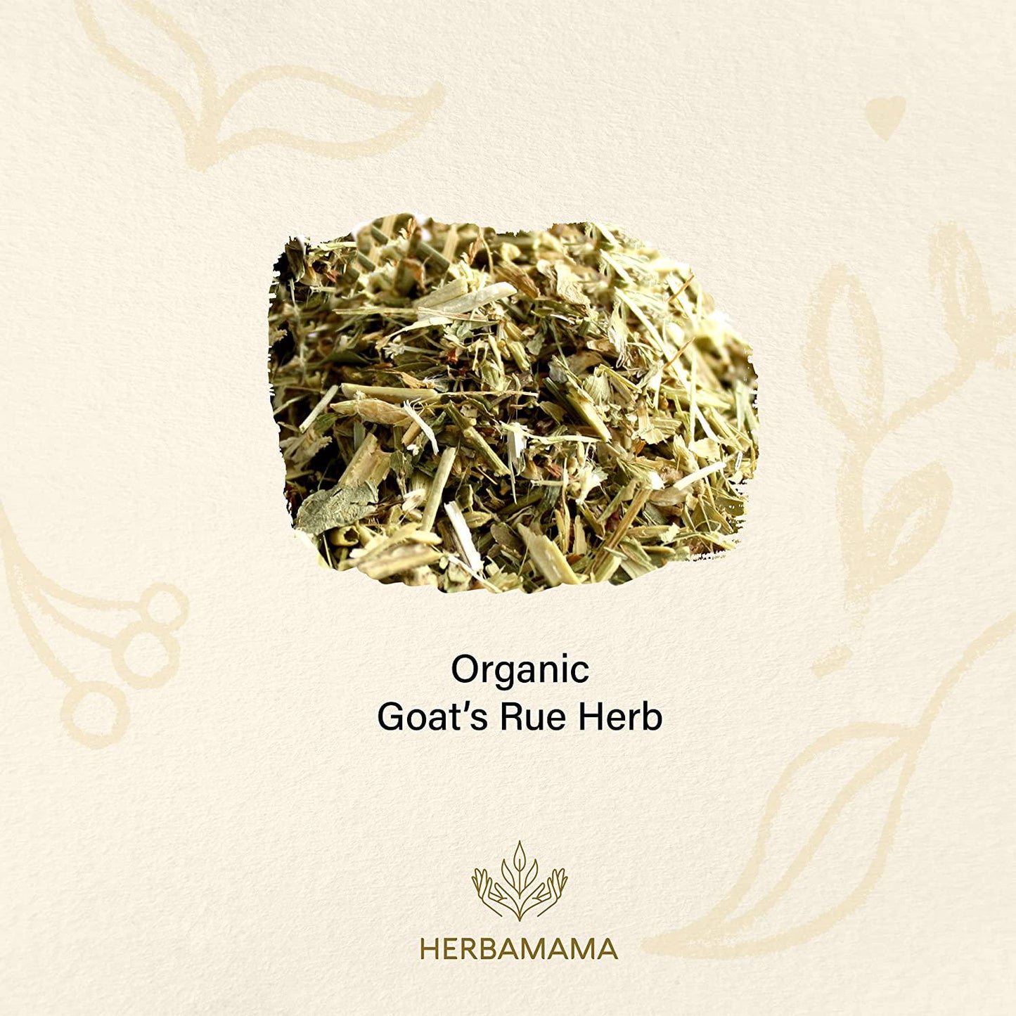 Goat's Rue 250 Capsules 500 mg | Lactation Supplement | Supports Mammary Tissue Development | Breast Feeding Capsules | Gluten Free | Non-GMO