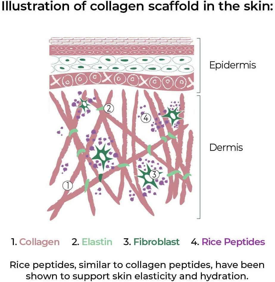 Gold Collagen Vegan | The Original #1 Liquid Vegan Collagen Drink with Rice Peptides, Hyaluronic Acid, Iron, Folic Acid, Amla, Vitamins, Minerals and Amino Acids for Skin, Hair, Nails