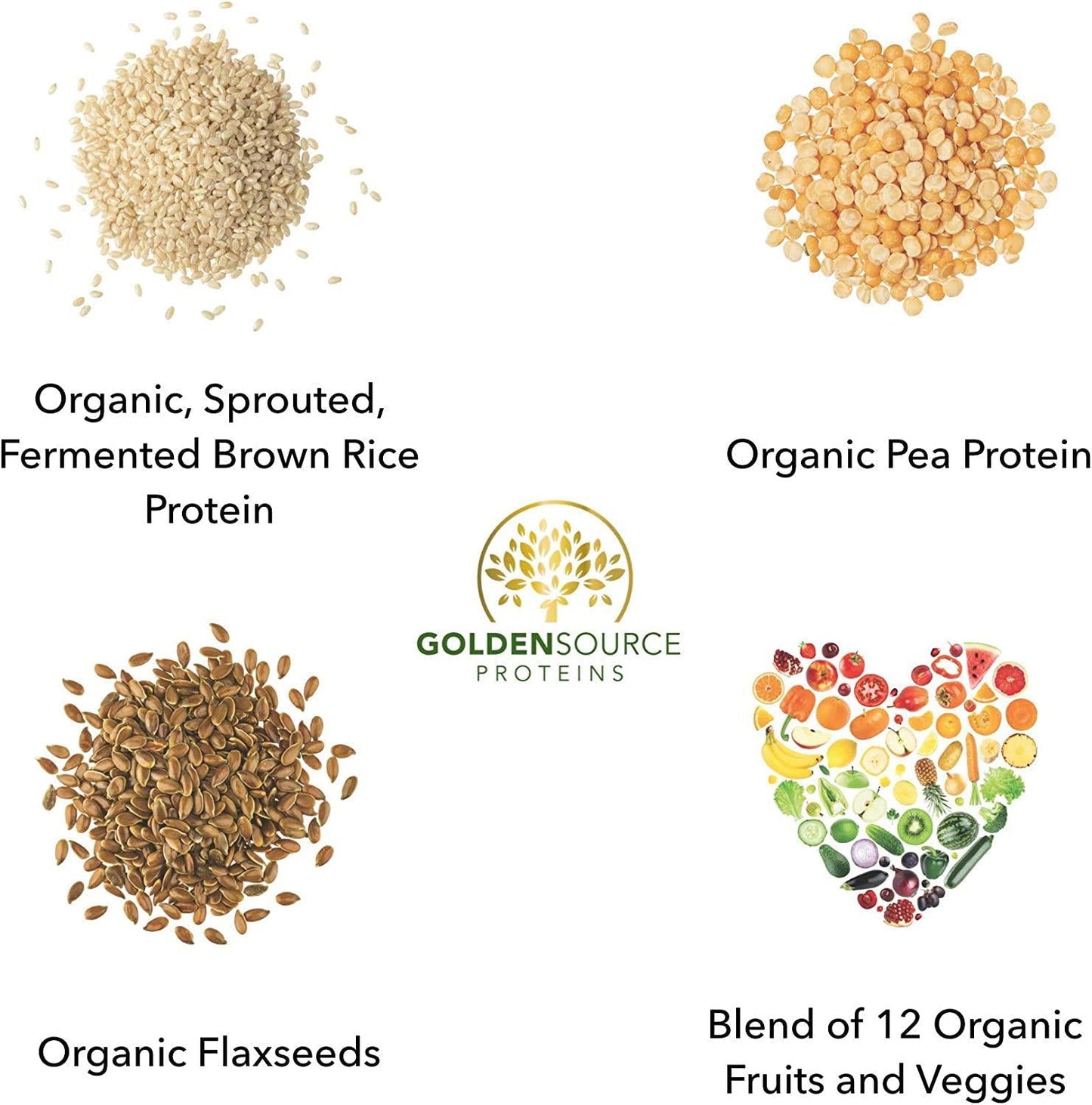 GoldenSource Proteins, Organic Plant-Based Protein, Coffee, 1 Pound, 18 Servings, 22 Vitamins and Minerals, Complete Amino Acid Profile, Free from Gluten, Soy, Dairy and Peanut, no Added Sugar