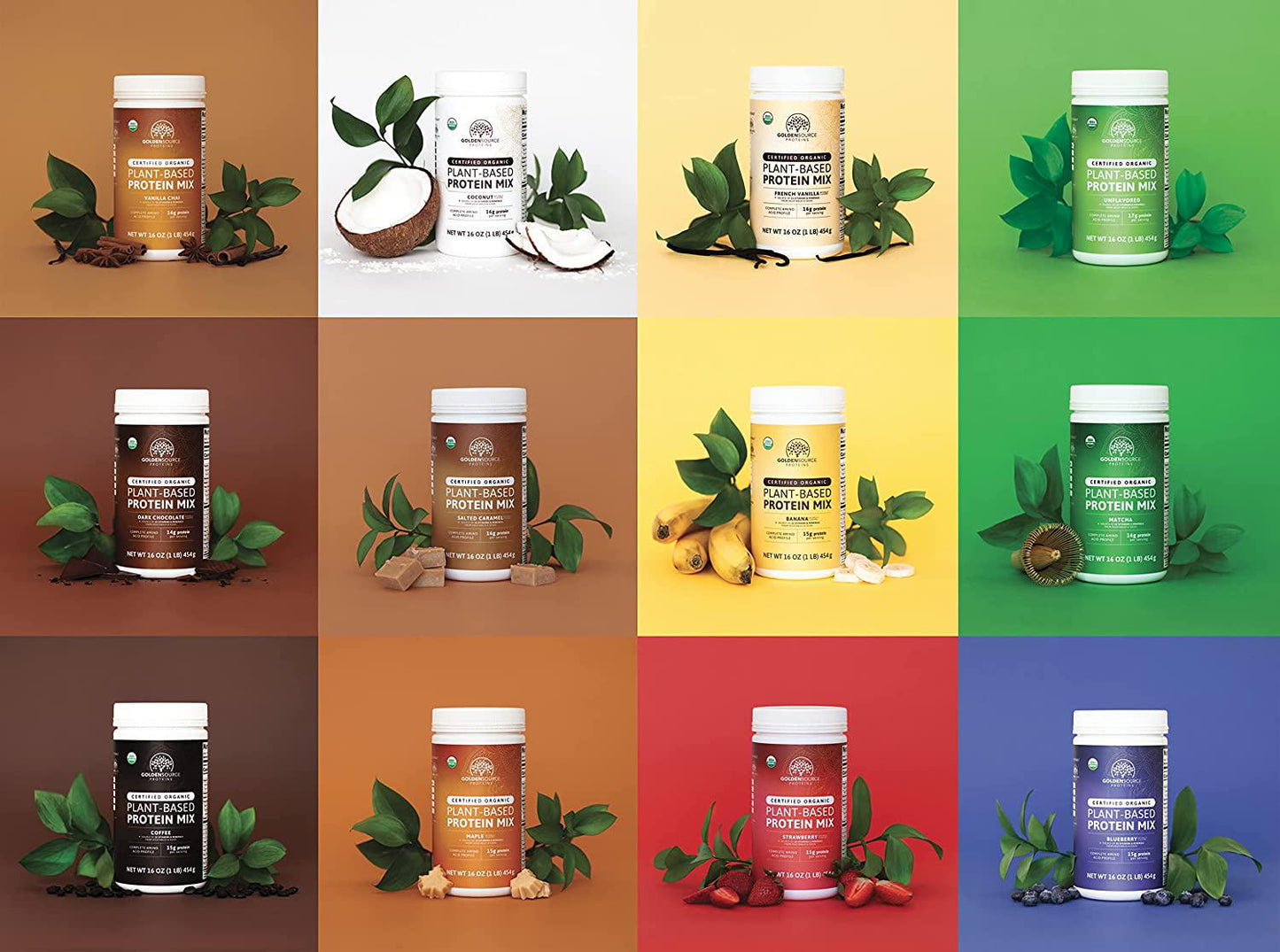 GoldenSource Proteins Organic Plant-based Protein, Green Tea, 1 Pound