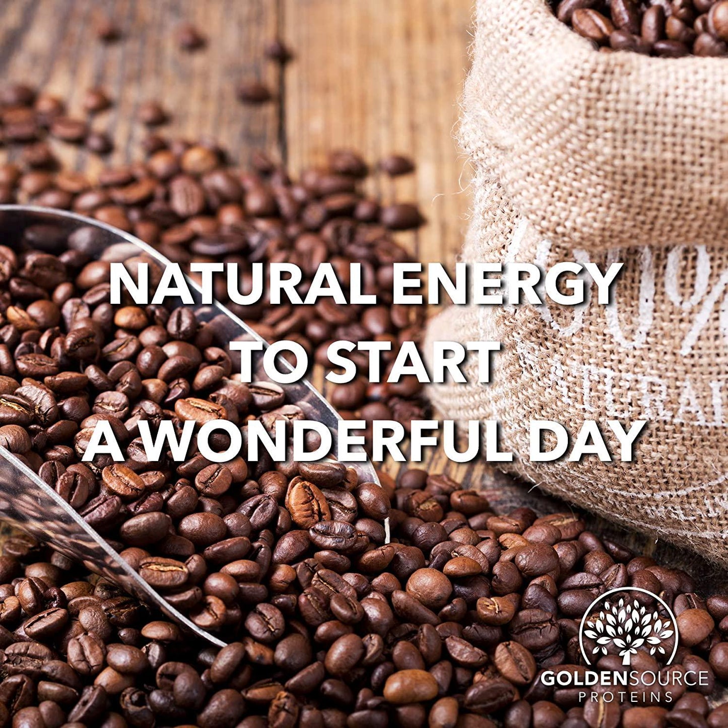 GoldenSource Proteins, Organic Plant-Based Protein, Coffee, 1 Pound, 18 Servings, 22 Vitamins and Minerals, Complete Amino Acid Profile, Free from Gluten, Soy, Dairy and Peanut, no Added Sugar