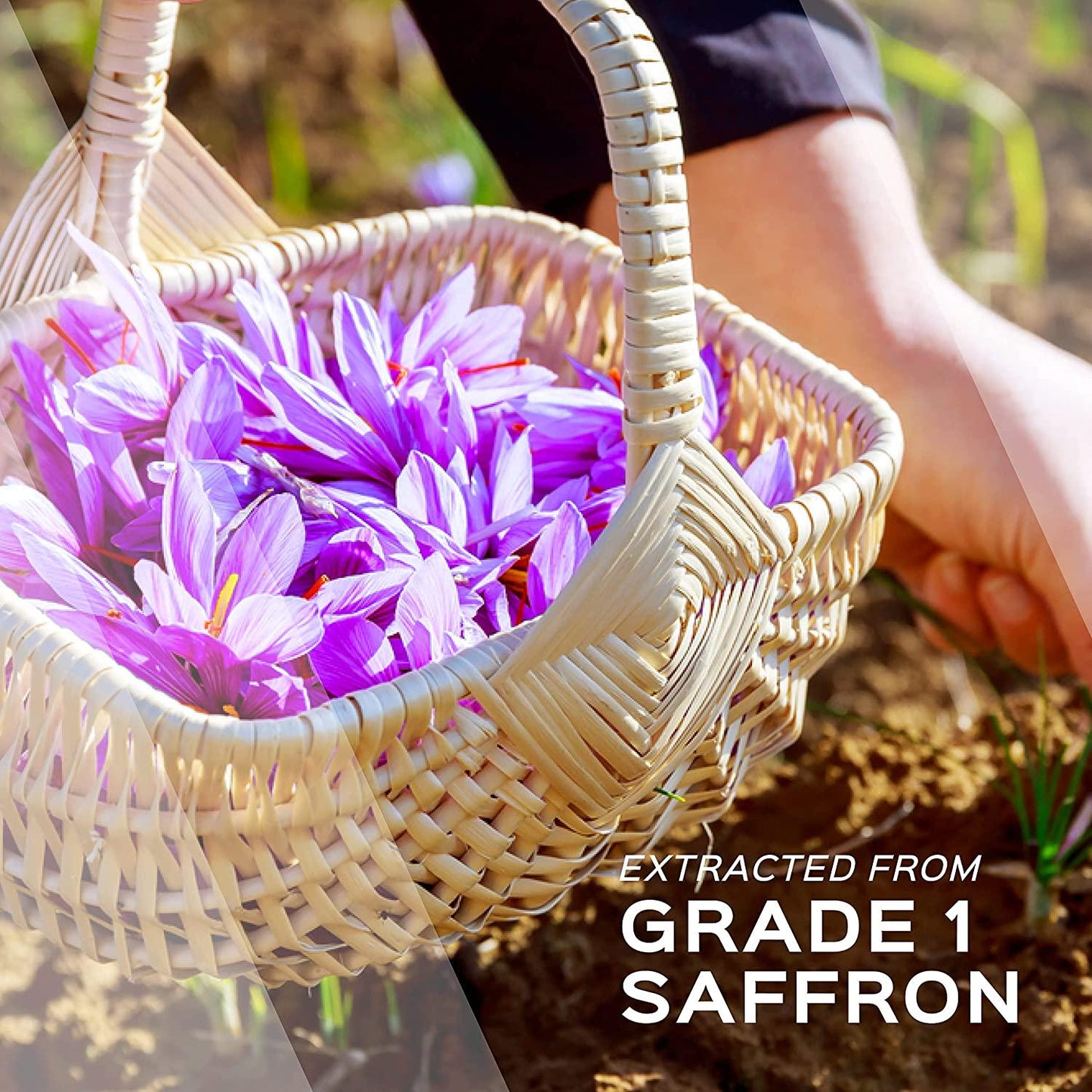 Golden Saffron, Saffron Extract 8825 (Vegetarian) - Best All Natural Appetite Suppressant That Works - 88.5 mg per Capsule - Manufactured by Highest Grade Saffron, Non-GMO, 30 Day Supply