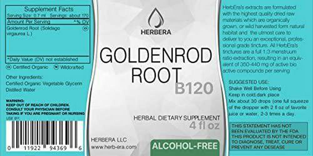 Goldenseal Root B120 Alcohol-Free Herbal Extract Tincture, Super-Concentrated Organic Goldenseal (Hydrastis Canadensis) (4 fl oz)
