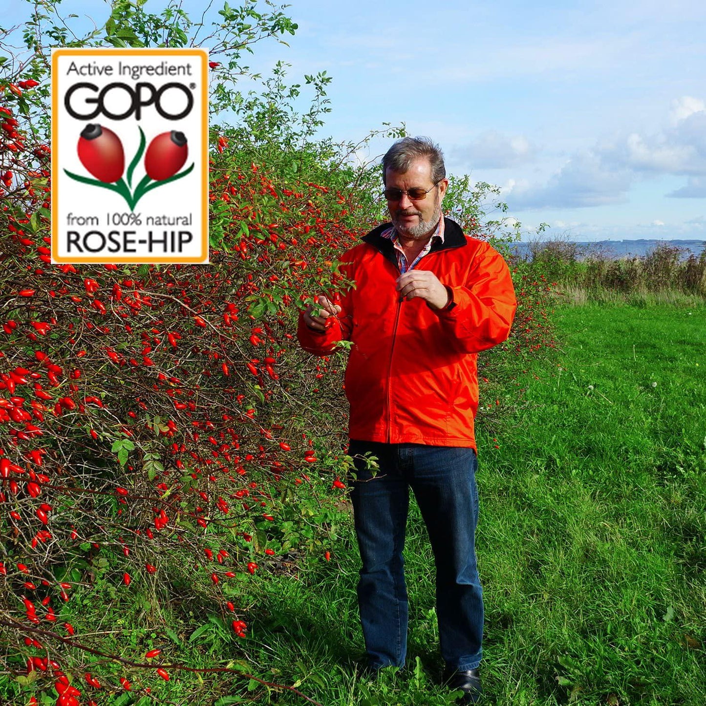 Gopo Rose Hip Joint Health Vitamin C Capsules - Pack of 120