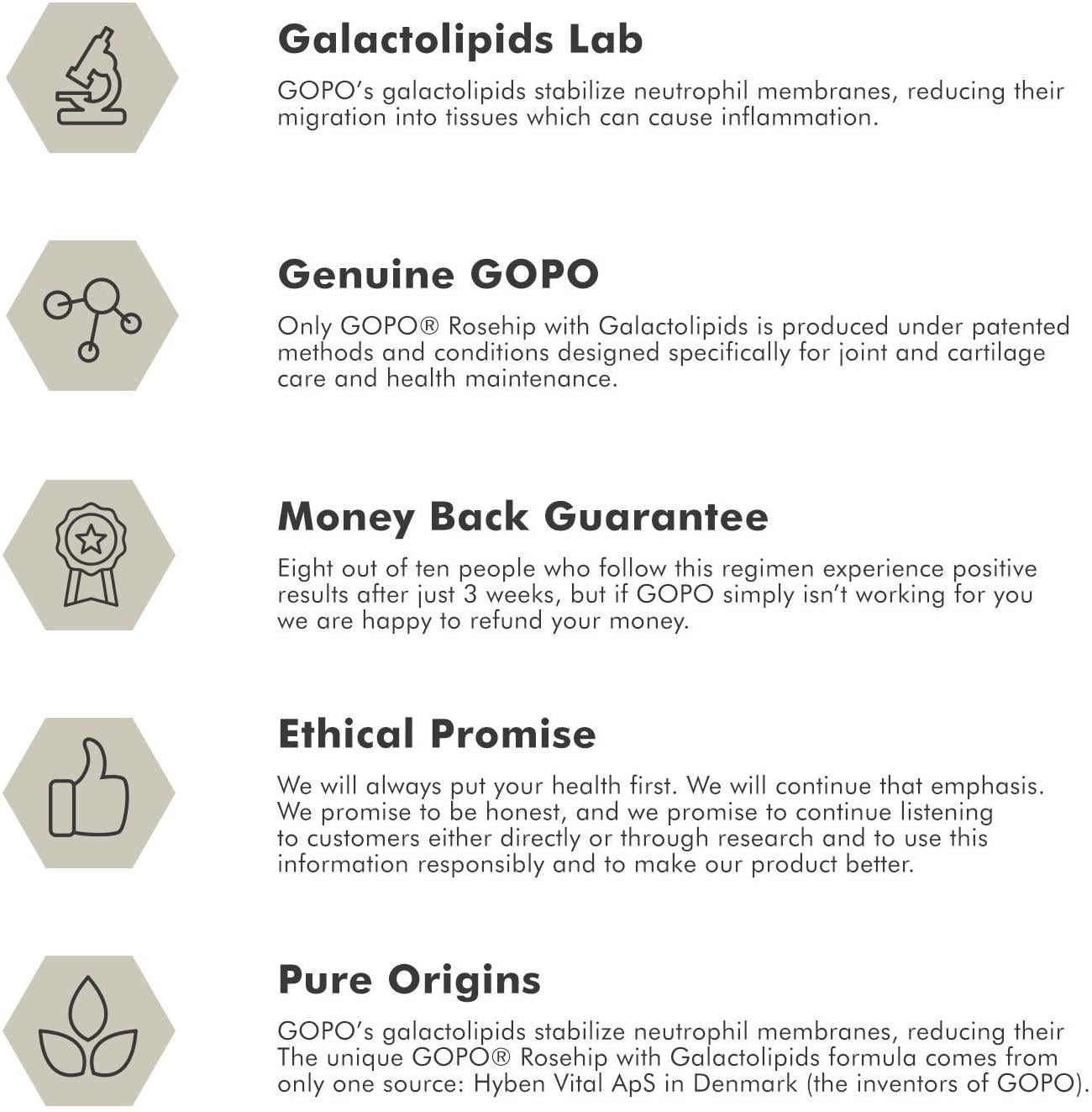 Gopo Rose Hip Joint Health Vitamin C Capsules - Pack of 120