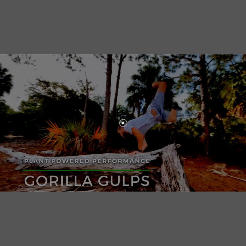 Gorilla Gulps Value Bundle Mocha/Chocolate Vegan Mass Gainer 10 lb Natural High Calorie Protein Powder GMO, Gluten, Dairy, and Soy Free. No Artificial in