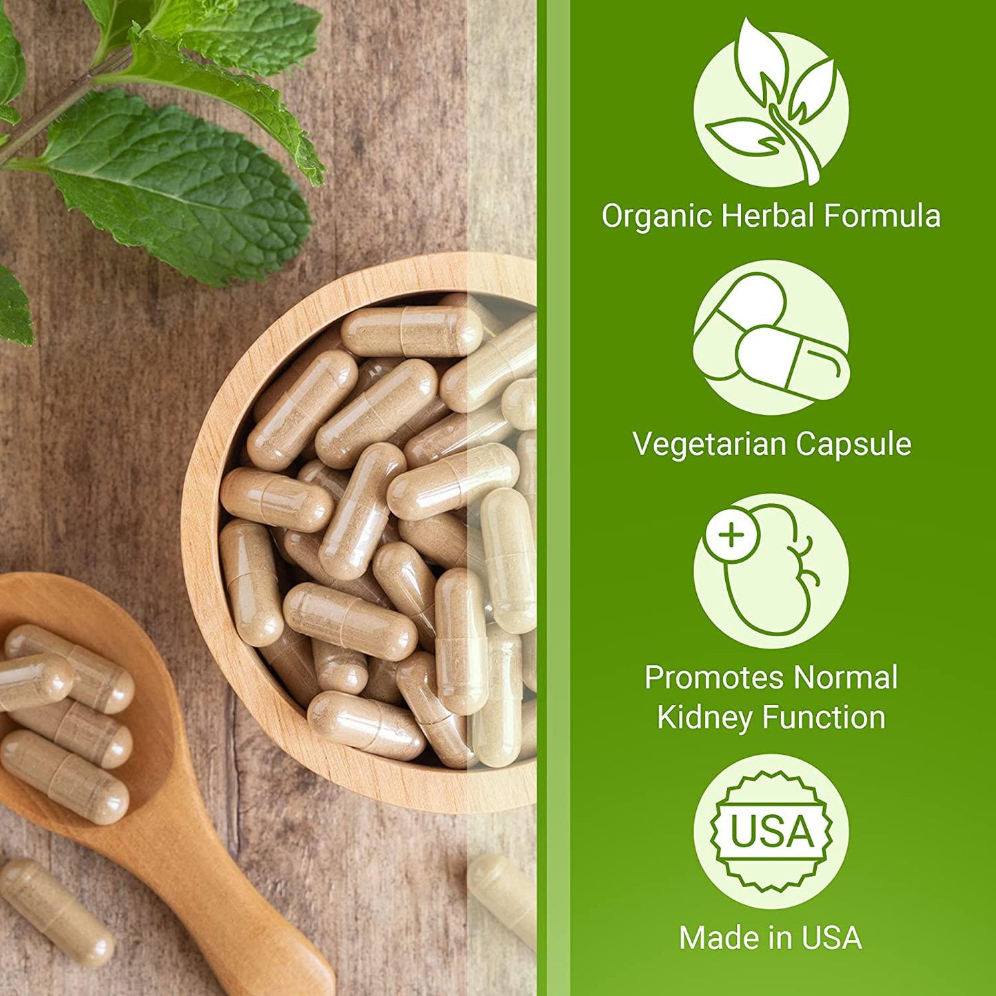 Gow!tBiotic 1 Uric Acid Support – Organic Herbal Dietary Supplement for Regular Maintenance and Preventative Care – Promotes Joint Comfort and Normal Kidney Function – All-Natural, Vegan Capsules…