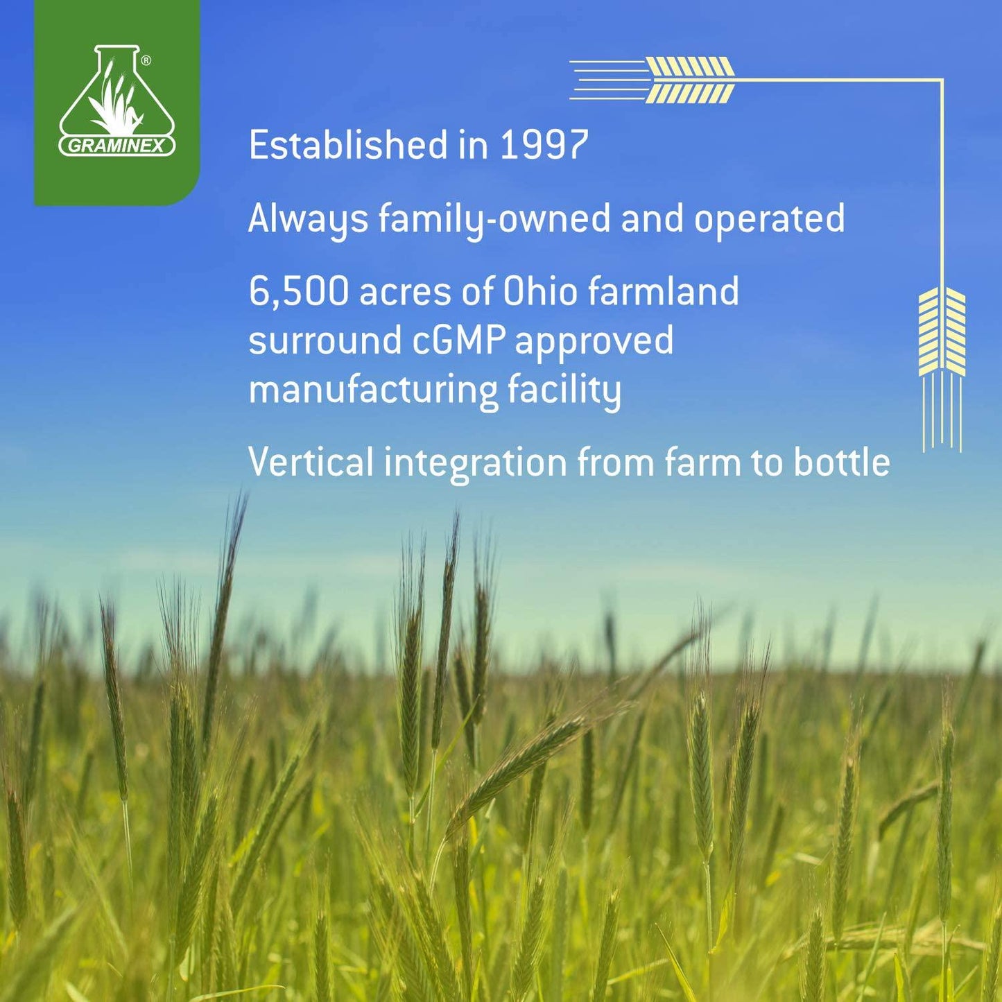 Graminex PollenAid Prostate Supplement: All Natural Prostate Support for Bladder Control and Urinary Tract Health, Rye Pollen Extract Made in USA to Help Relieve Pain and Boost Urinary Flow, 90 Tablets