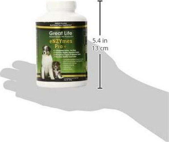 Great Life Enzymes Pro Pet Digestive Remedy, 225gm
