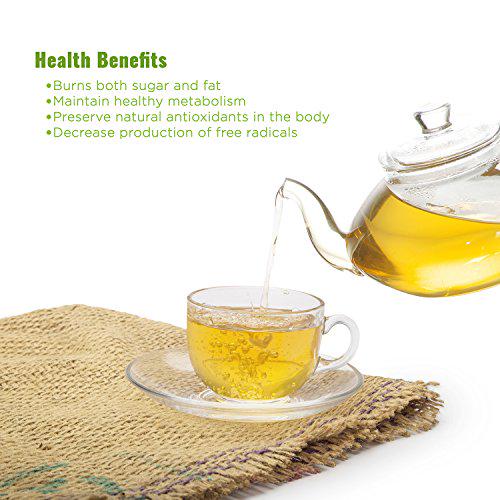 Grecobe - The Green Coffee [100 sachets Pouch] Decaffeinated, Pure Green Coffee Beans Extract for Weight Loss, no additives and excipients, antioxidant