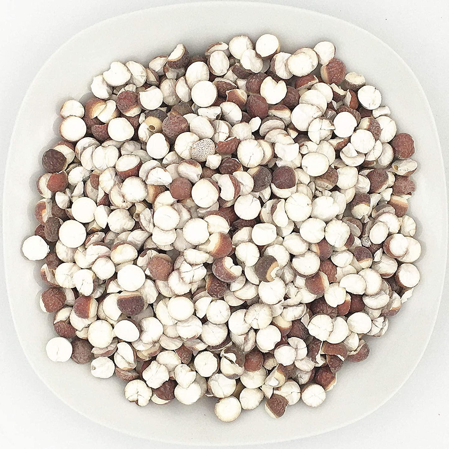 Green Qian Shi Euryale Ferox Salisb Dried Fox Nuts 芡实 (4oz)