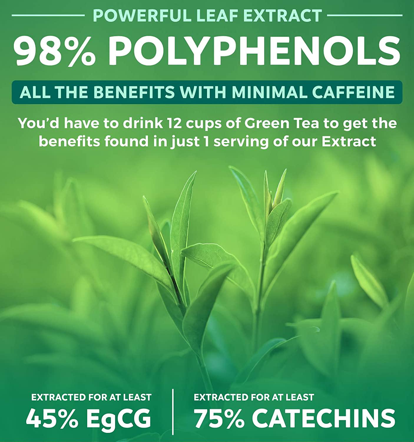 Green Tea Extract 98% - 1000mg with EGCG - 120 Capsules (Non-GMO) for Weight Loss and Metabolism Boost - Natural Diet Pills - Leaf Polyphenol Catechins - Antioxidant Supplement - 500mg per Capsule