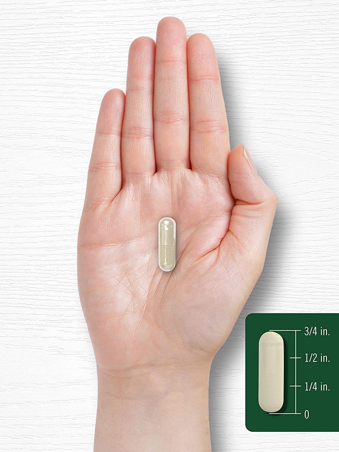 Gymnema Sylvestre Leaf Extract 600 mg | 200 Capsules | Non-GMO and Gluten Free | by Carlyle