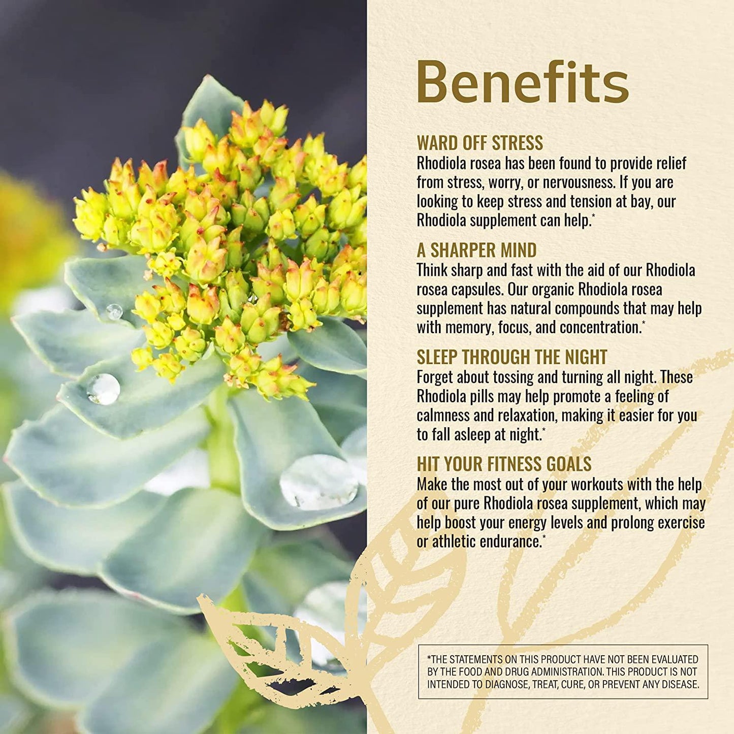 HERBAMAMA Rhodiola Capsules - Daily Dietary Supplement Promoting Energy Boost, Brain Function, Natural Stress Relief - Helps with Weight Management, Exercise Performance - 1000mg, 100 Caps per Bottle