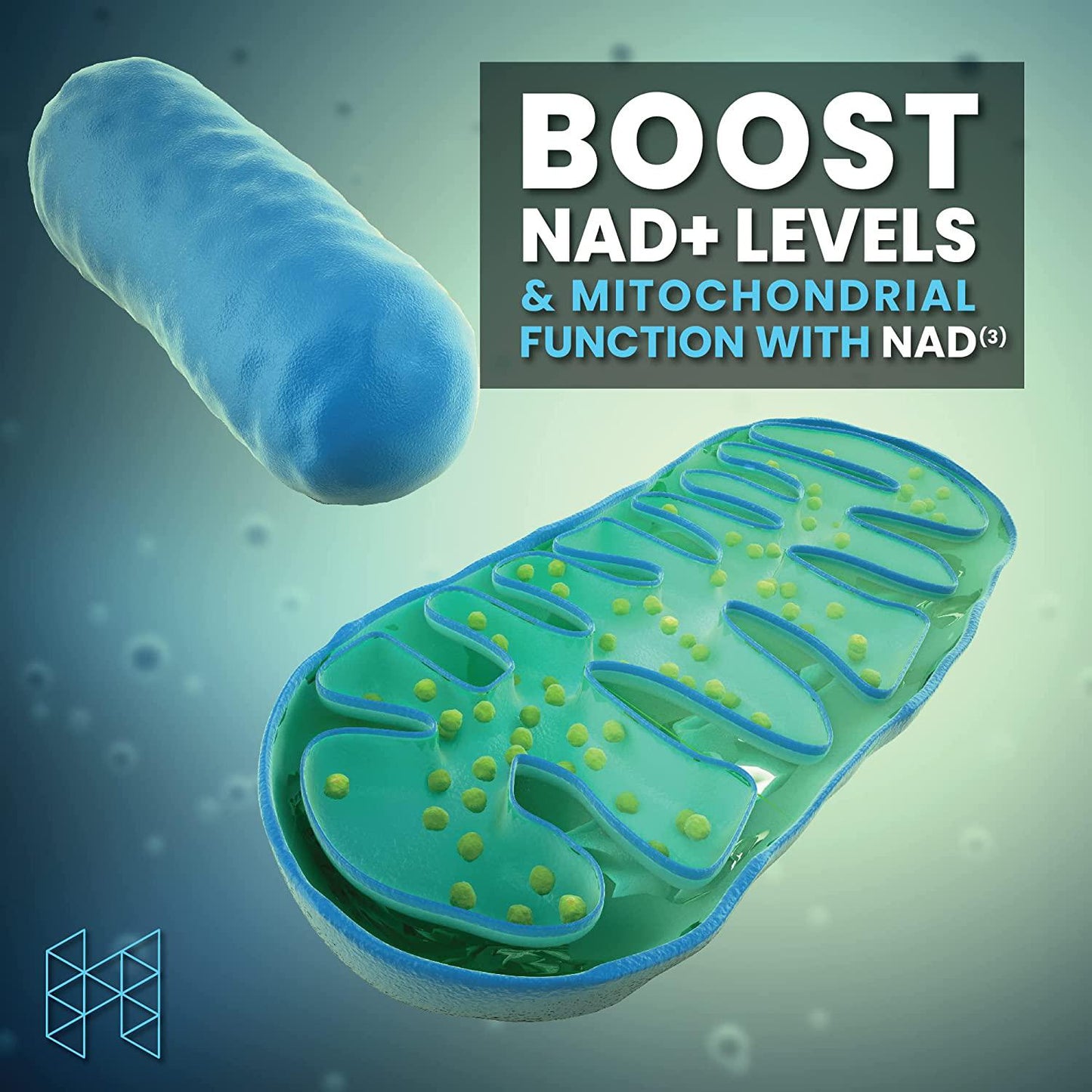HPN NAD+ Booster - Nicotinamide Riboside Alternative (NAD3) for Men and Women | Anti Aging NRF2 Activator, Superior to NADH - Natural Energy Supplement for Longevity and Cellular Health, 60 Veggie Pills
