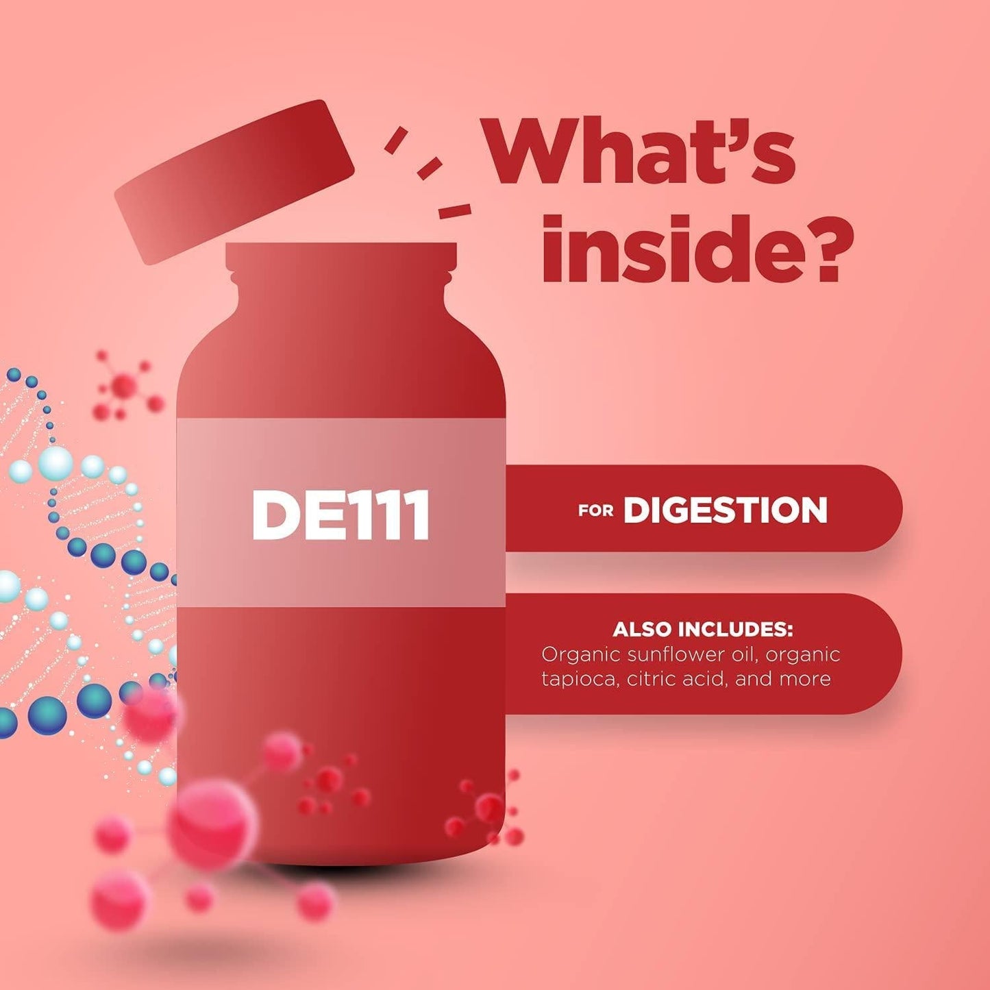 Healthy Gut Probiotic Gummies for Adults - Organic Probiotics for Gut Health Upset Stomach Relief and Immune Support - Digestive Health Chewable Probiotic Gummies for Women and Men - 5 Billion CFU