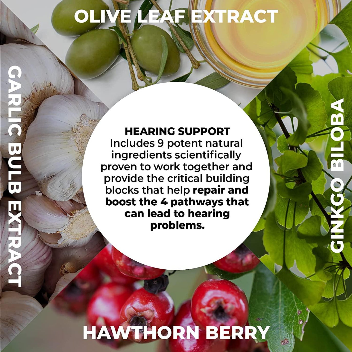 Hearing Support by PureHealth Research Ð Supports Healthy Middle and Inner Ear Structures, Including Cilia, Nerves, Hormone Levels and Blood Supply, 6 Bottles