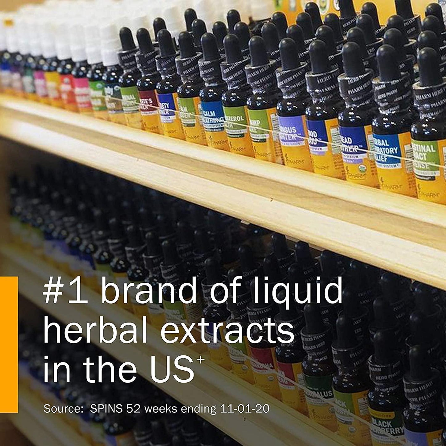 Herb Pharm Certified Organic Anise Liquid Extract for Digestive Support, 1 Fl Oz (Pack of 1) 1 Fl Oz