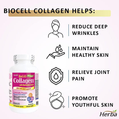 Herba BioCell Collagen - with Hyaluronic Acid and Chondroitin, Natural Hydrolyzed Type II Collagen, Clinically Proven, Effective and Fast, Reduces Wrinkles and Fine Lines and Supports Joint Function