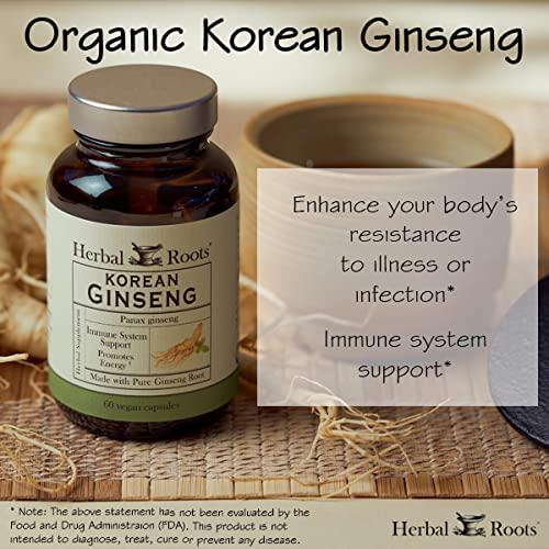 Herbal Roots - Panax Ginseng - Extra Strength 1000mg Supplement - Organic Korean Ginseng Root Powder - 60 Vegan Capsules - High Ginsenosides for Energy, Focus and Performance for Men and Women