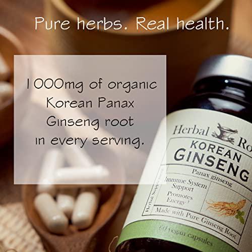 Herbal Roots - Panax Ginseng - Extra Strength 1000mg Supplement - Organic Korean Ginseng Root Powder - 60 Vegan Capsules - High Ginsenosides for Energy, Focus and Performance for Men and Women