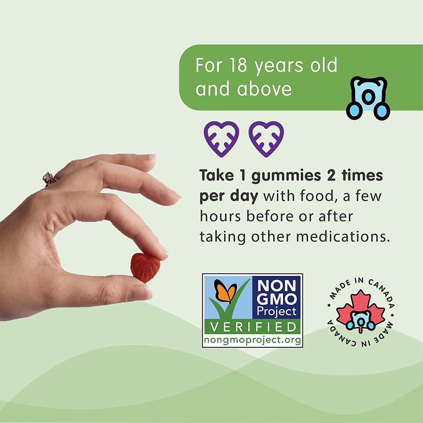 Herbaland Vegan Fruit, Veg, and Fiber Gummies for Adults - Sugar-Free Gut Health Supplements, Organic, Natural Dietary Vitamins, Healthy Digestive System - 8.4 grams, Black Currant Flavor, 60 Count