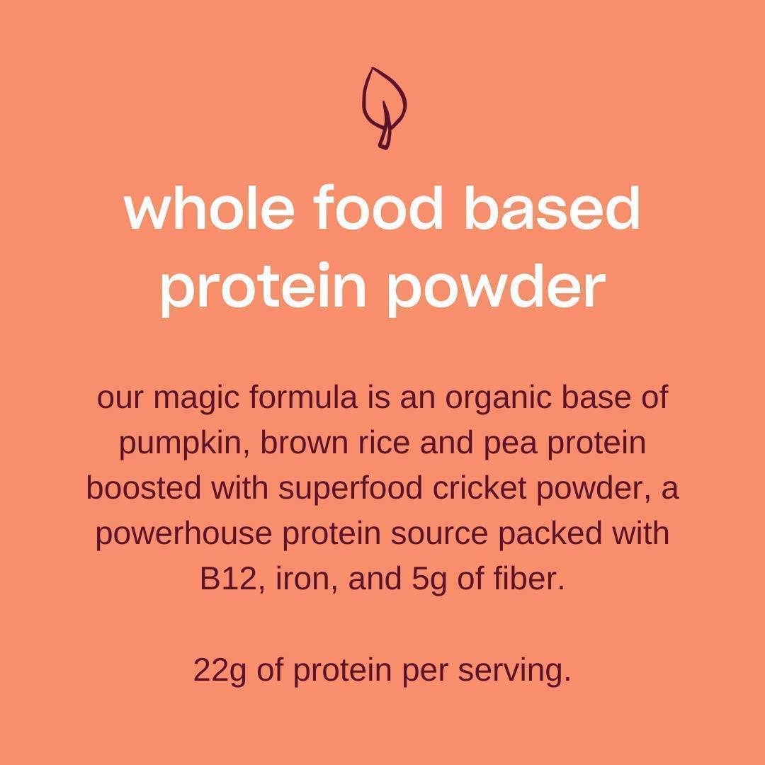 Hi! Human Improvement Whole Food Based Plant and Cricket Protein Powder Blend, Variety Pack, 1.4 Ounce, 2 Packets (1 Each Vanilla and Chocolate)