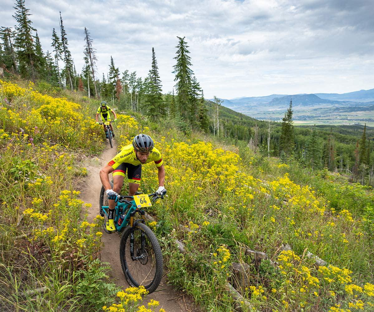 Honey Stinger Organic Energy Chews Variety Pack with Sticker 8 Count Chewy Gummy Energy Source for Any Activity - Pink Lemonade, Fruit Smoothie, Pomegranate Passionfruit and Cherry Blossom