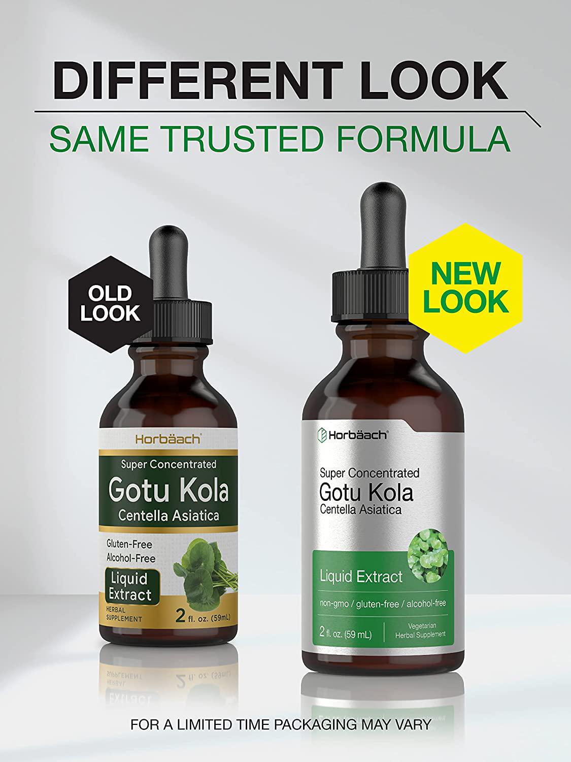 Horbaach Gotu Kola Extract | 2 Oz | Alcohol Free | Super Concentrated | Vegetarian, Non-GMO, Gluten Free Liquid Herb Supplement