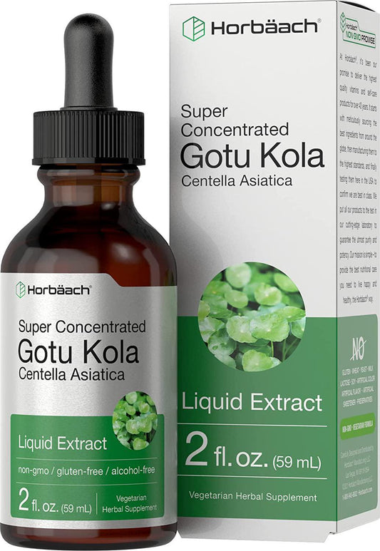 Horbaach Gotu Kola Extract | 2 Oz | Alcohol Free | Super Concentrated | Vegetarian, Non-GMO, Gluten Free Liquid Herb Supplement