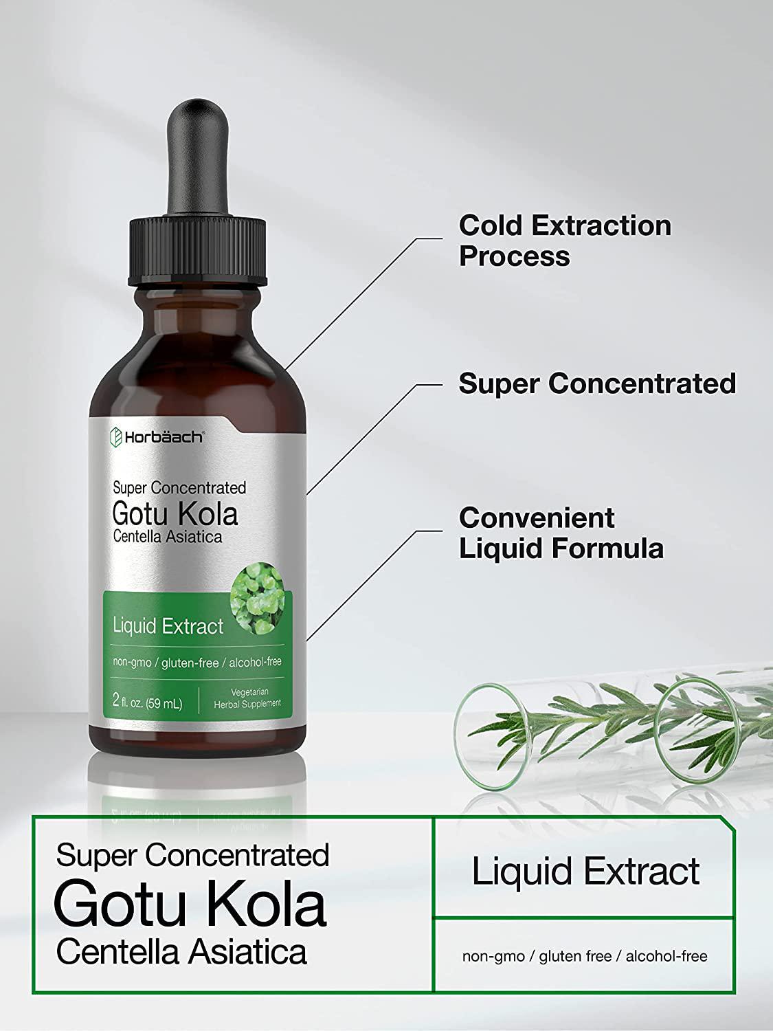 Horbaach Gotu Kola Extract | 2 Oz | Alcohol Free | Super Concentrated | Vegetarian, Non-GMO, Gluten Free Liquid Herb Supplement