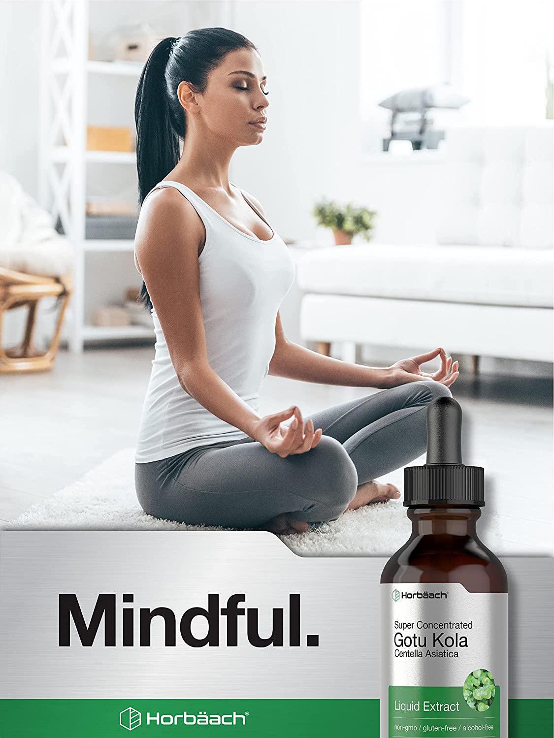 Horbaach Gotu Kola Extract | 2 Oz | Alcohol Free | Super Concentrated | Vegetarian, Non-GMO, Gluten Free Liquid Herb Supplement