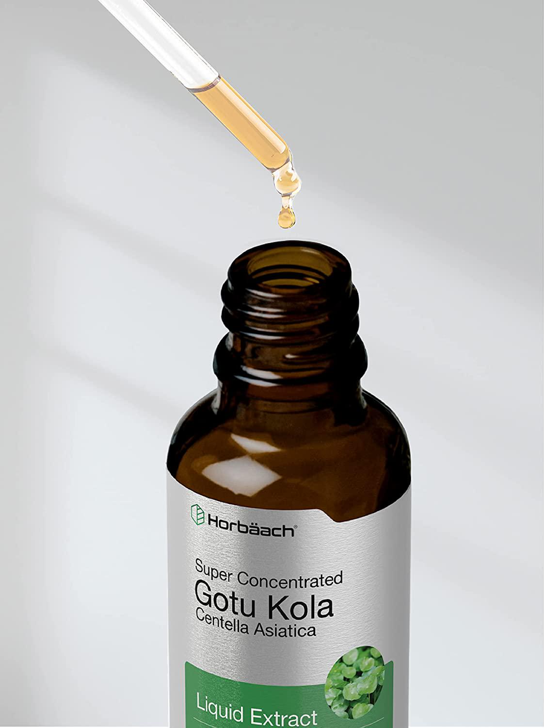 Horbaach Gotu Kola Extract | 2 Oz | Alcohol Free | Super Concentrated | Vegetarian, Non-GMO, Gluten Free Liquid Herb Supplement