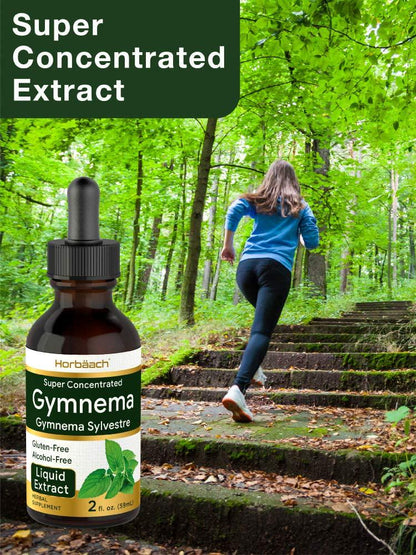 Horbaach Gymnema Sylvestre Liquid | 2 Oz | Alcohol Free | Super Concentrated | Vegetarian, Non-GMO, Gluten Free | Gymnema Leaf Extract