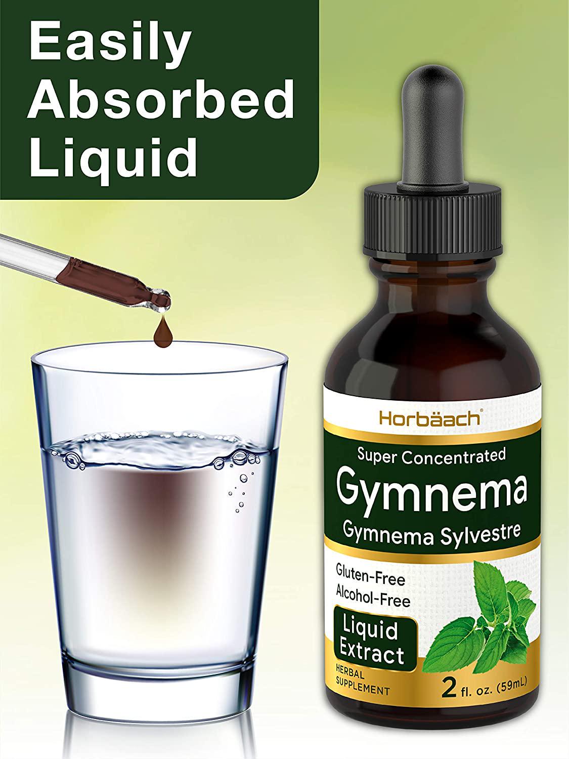 Horbaach Gymnema Sylvestre Liquid | 2 Oz | Alcohol Free | Super Concentrated | Vegetarian, Non-GMO, Gluten Free | Gymnema Leaf Extract