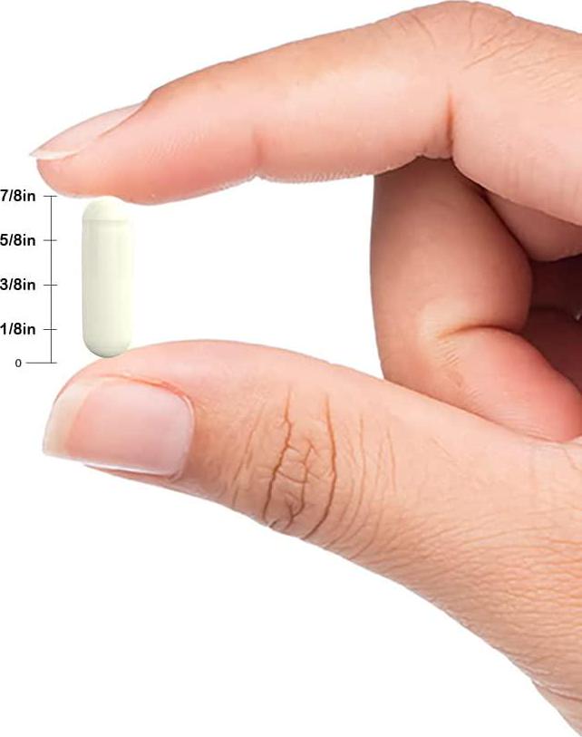 Horbaach L Ornithine 1500 mg | 120 Capsules | Non-GMO, Gluten Free | Free Form L-Ornithine