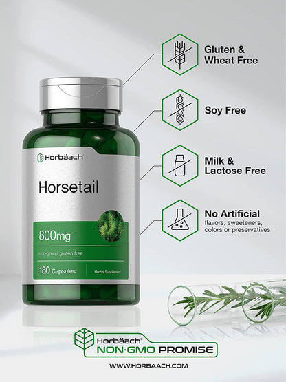 Horsetail Capsules 800mg | 180 Count | Non-GMO, Gluten Free Herb Supplement | by Horbaach