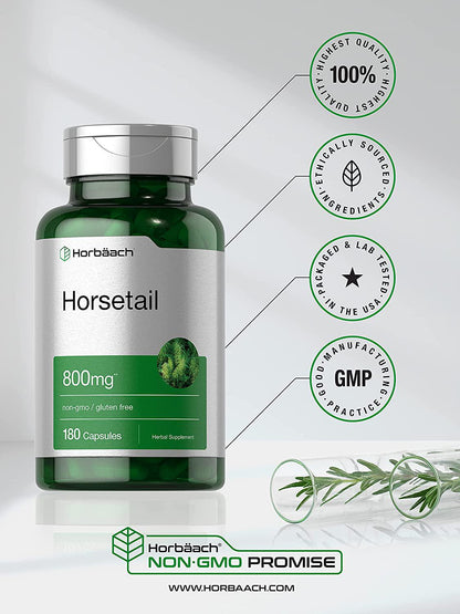 Horsetail Capsules 800mg | 180 Count | Non-GMO, Gluten Free Herb Supplement | by Horbaach