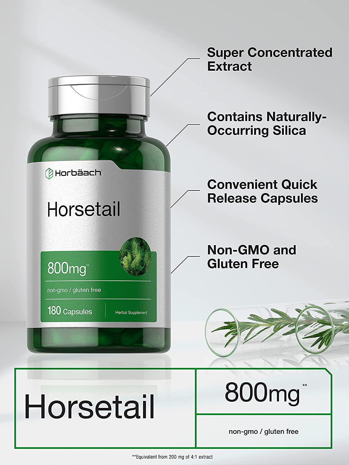 Horsetail Capsules 800mg | 180 Count | Non-GMO, Gluten Free Herb Supplement | by Horbaach