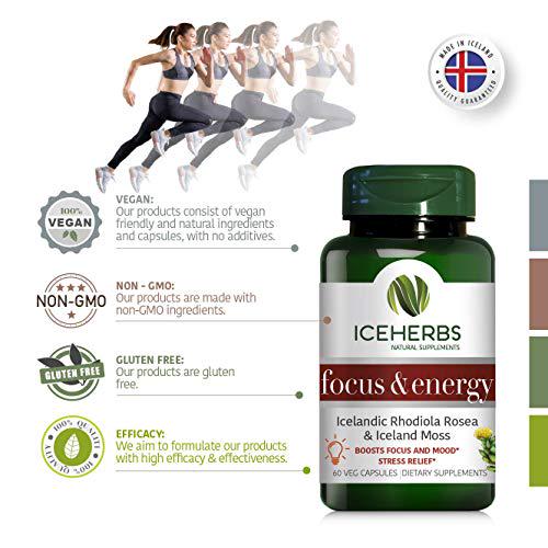 ICEHERBS Focus and Energy Pure Icelandic Rhodiola Rosea and Iceland Moss Supplement / 60 Vegan Capsules Boosts Focus and Mood, Stress Relief Improves Energy - Powerful and Natural Blend