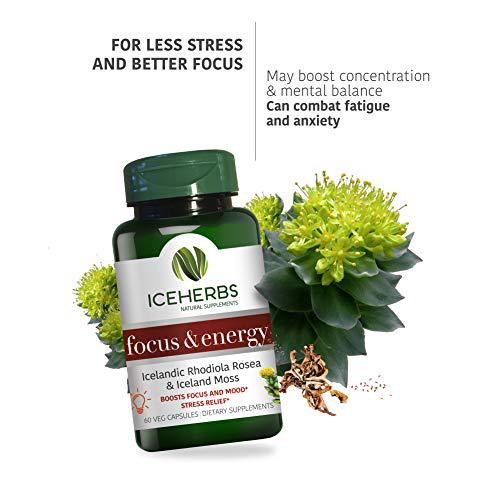 ICEHERBS Focus and Energy Pure Icelandic Rhodiola Rosea and Iceland Moss Supplement / 60 Vegan Capsules Boosts Focus and Mood, Stress Relief Improves Energy - Powerful and Natural Blend