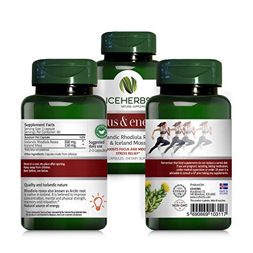 ICEHERBS Focus and Energy Pure Icelandic Rhodiola Rosea and Iceland Moss Supplement / 60 Vegan Capsules Boosts Focus and Mood, Stress Relief Improves Energy - Powerful and Natural Blend