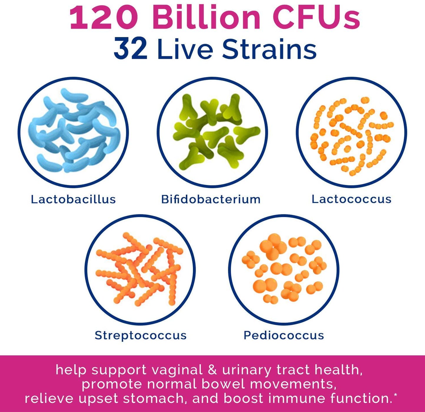 INNATE Vitality Women's Once-Daily Probiotics, 120 Billion CFU, 32 Tested Strains, Yeast Control+Vaginal PH Support, Gut+Immunity, Prebiotics, Digestive Enzymes and Organic Cranberry